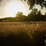 Grand House 47 Boguszyn (Leszno)