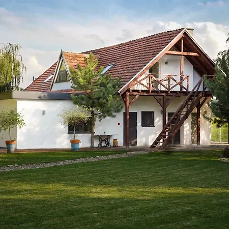 Grand House 47 Boguszyn (Leszno)