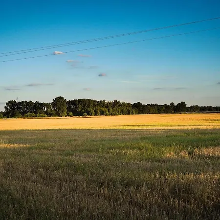 Grand House 47 Boguszyn (Leszno)