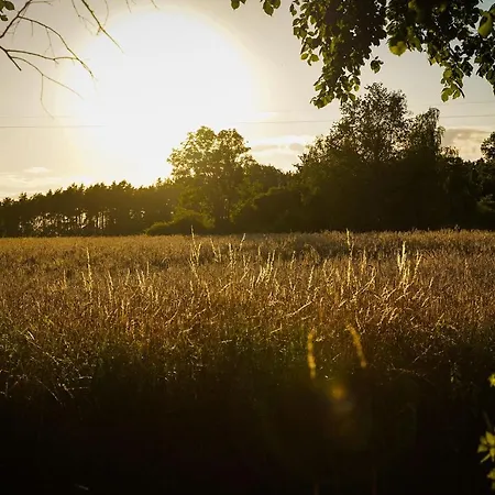 Grand House 47 Boguszyn (Leszno)