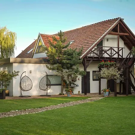 Grand House 47 Boguszyn (Leszno)