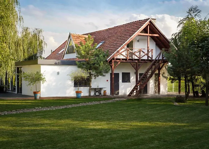 Grand House 47 Boguszyn (Leszno)