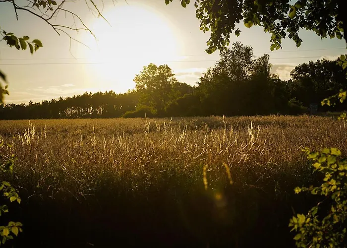 Grand House 47 Boguszyn (Leszno)