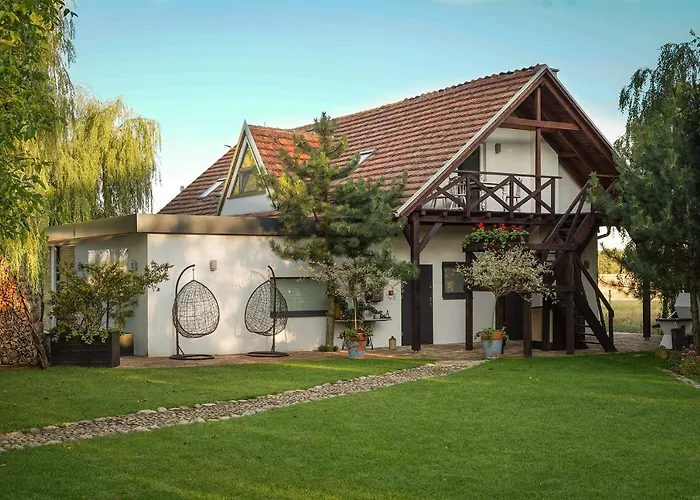 Grand House 47 Boguszyn (Leszno)