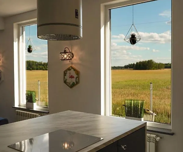 Grand House 47 Boguszyn (Leszno)